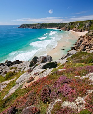 Porthcurno beach with flowers in the foreground