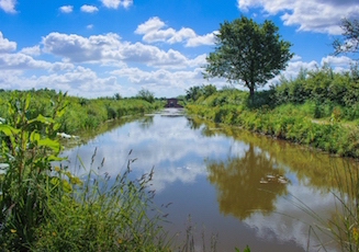 Peaceful stretch of the Kennet & Avon Canal as it runs through a rural landscape of fields and grassy banks