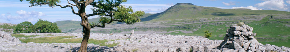 Limestone pavement below Ingleborough