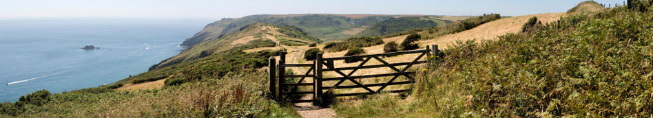 View along Bolt Head