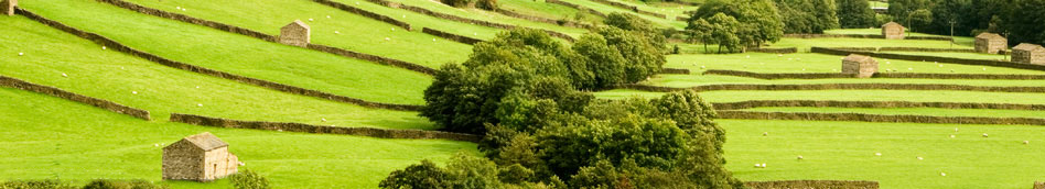 Barns in Swaledale